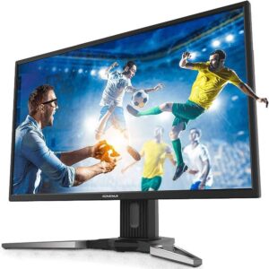 Gaems G190 Personal Gaming Monitor for PS4, XB1, PS3, 19inch HD LED Display - Black