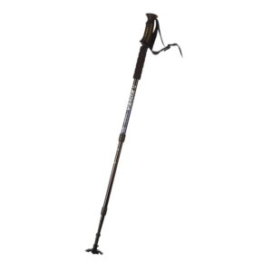 Blue Sky Trekking Pole
