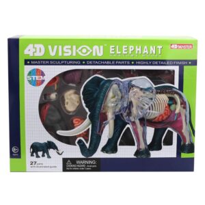 4D ELEPHANT ANATOMY
